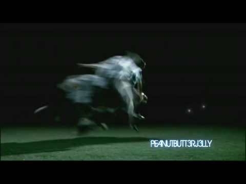 Lionel Messi 2009-2011 – Not Afraid   (HD) Official Video