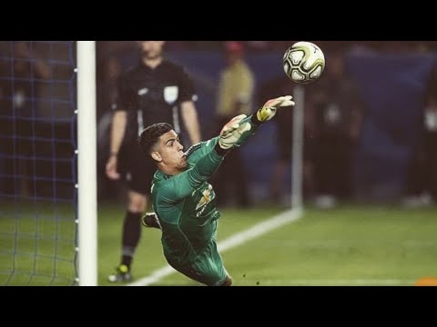 Lee Grant & Joel Pereira vs AC Milan (ICC 2018)